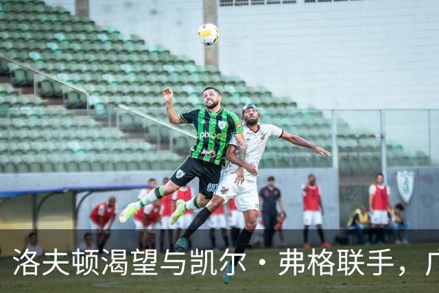 洛夫顿渴望与凯尔·弗格联手，广东男篮的名额成关键